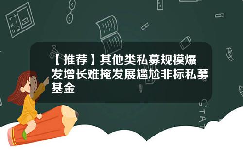 【推荐】其他类私募规模爆发增长难掩发展尴尬非标私募基金