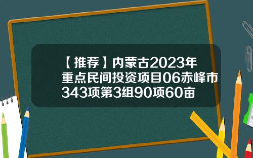 【推荐】内蒙古2023年重点民间投资项目06赤峰市343项第3组90项60亩的公司大不大