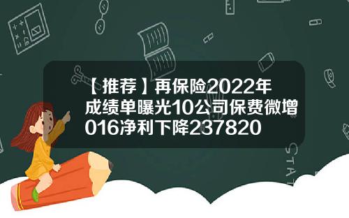 【推荐】再保险2022年成绩单曝光10公司保费微增016净利下降23782016年国内十大保险公司