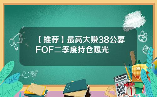 【推荐】最高大赚38公募FOF二季度持仓曝光