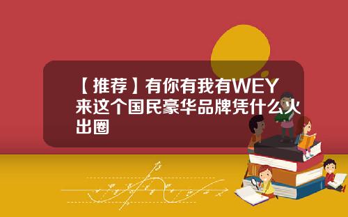 【推荐】有你有我有WEY来这个国民豪华品牌凭什么火出圈
