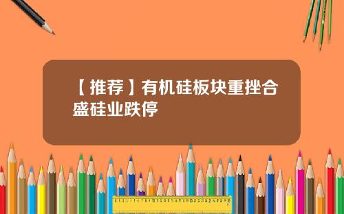 【推荐】有机硅板块重挫合盛硅业跌停