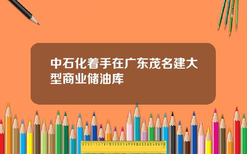 中石化着手在广东茂名建大型商业储油库