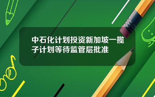 中石化计划投资新加坡一揽子计划等待监管层批准