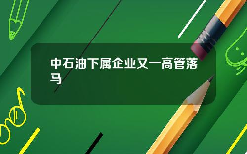 中石油下属企业又一高管落马