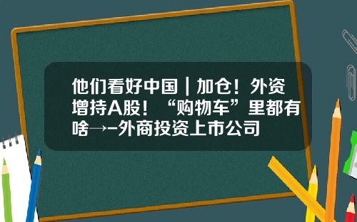 他们看好中国｜加仓！外资增持A股！“购物车”里都有啥→-外商投资上市公司