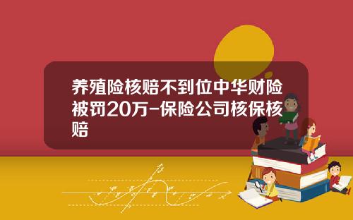 养殖险核赔不到位中华财险被罚20万-保险公司核保核赔