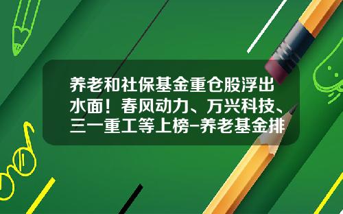 养老和社保基金重仓股浮出水面！春风动力、万兴科技、三一重工等上榜-养老基金排名
