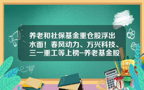 养老和社保基金重仓股浮出水面！春风动力、万兴科技、三一重工等上榜-养老基金股票