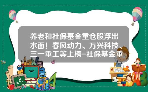 养老和社保基金重仓股浮出水面！春风动力、万兴科技、三一重工等上榜-社保基金重仓股一览