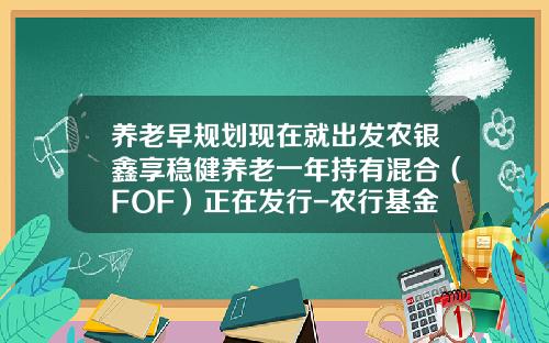 养老早规划现在就出发农银鑫享稳健养老一年持有混合（FOF）正在发行-农行基金