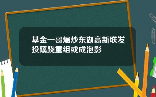 基金一哥爆炒东湖高新联发投蹊跷重组或成泡影
