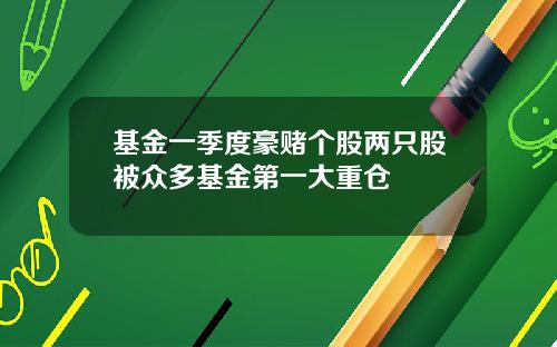 基金一季度豪赌个股两只股被众多基金第一大重仓