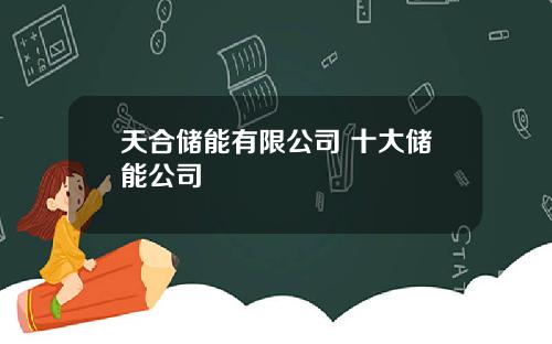 天合储能有限公司 十大储能公司