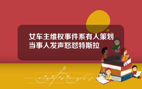 女车主维权事件系有人策划当事人发声怒怼特斯拉
