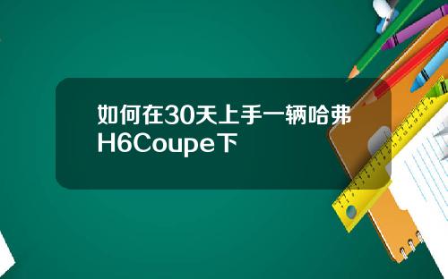 如何在30天上手一辆哈弗H6Coupe下
