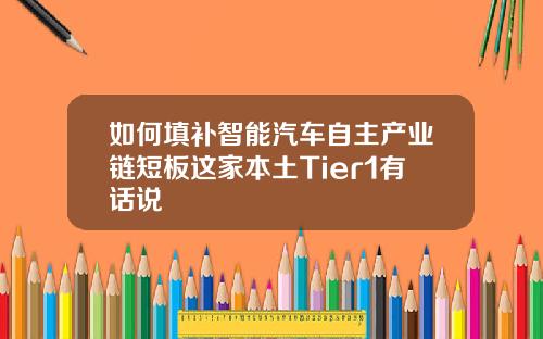 如何填补智能汽车自主产业链短板这家本土Tier1有话说