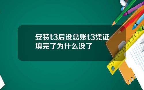 安装t3后没总账t3凭证填完了为什么没了