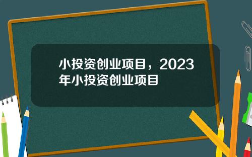 小投资创业项目，2023年小投资创业项目