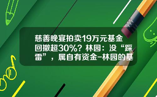 慈善晚宴拍卖19万元基金回撤超30%？林园：没“踩雷”，属自有资金-林园的基金