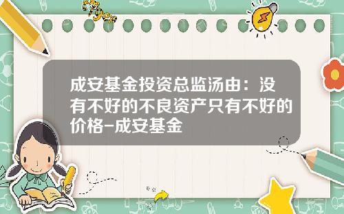 成安基金投资总监汤由：没有不好的不良资产只有不好的价格-成安基金