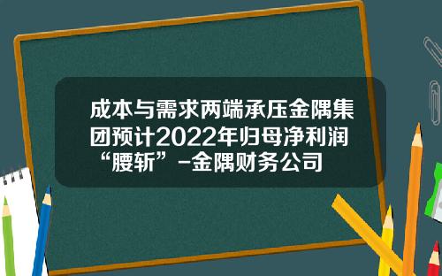 成本与需求两端承压金隅集团预计2022年归母净利润“腰斩”-金隅财务公司