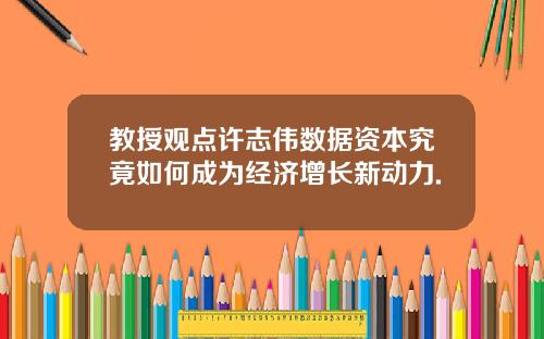 教授观点许志伟数据资本究竟如何成为经济增长新动力.