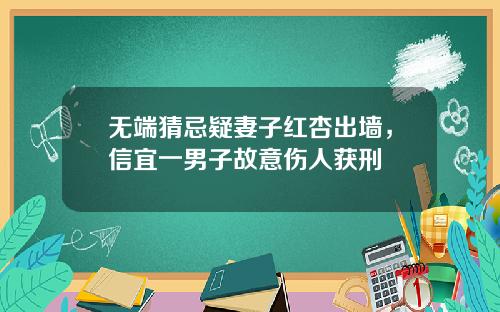 无端猜忌疑妻子红杏出墙，信宜一男子故意伤人获刑