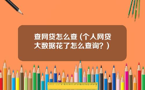 查网贷怎么查 (个人网贷大数据花了怎么查询？)