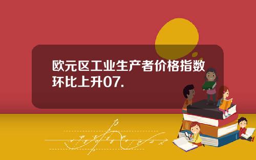 欧元区工业生产者价格指数环比上升07.