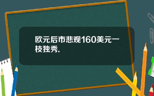 欧元后市悲观160美元一枝独秀.