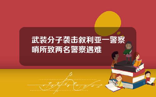 武装分子袭击叙利亚一警察哨所致两名警察遇难