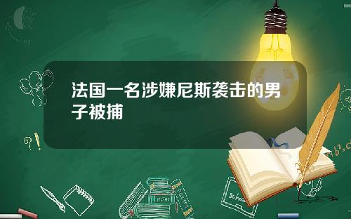 法国一名涉嫌尼斯袭击的男子被捕