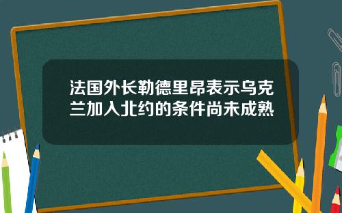 法国外长勒德里昂表示乌克兰加入北约的条件尚未成熟