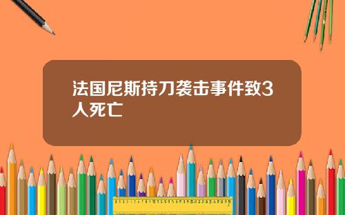 法国尼斯持刀袭击事件致3人死亡