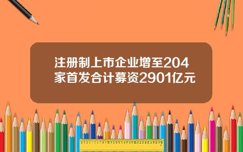 注册制上市企业增至204家首发合计募资2901亿元