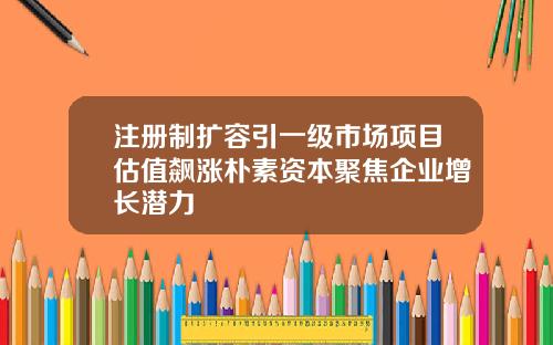 注册制扩容引一级市场项目估值飙涨朴素资本聚焦企业增长潜力