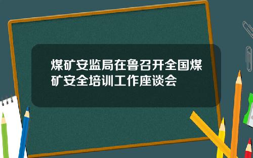 煤矿安监局在鲁召开全国煤矿安全培训工作座谈会