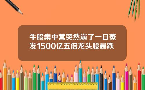 牛股集中营突然崩了一日蒸发1500亿五倍龙头股暴跌