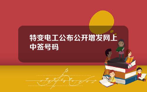 特变电工公布公开增发网上中签号码