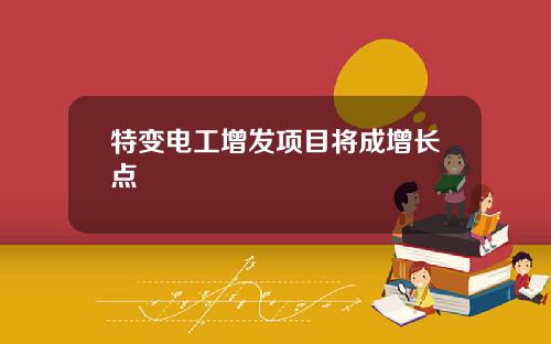 特变电工增发项目将成增长点