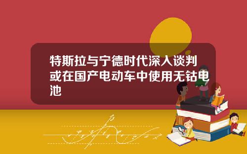 特斯拉与宁德时代深入谈判或在国产电动车中使用无钴电池
