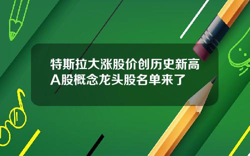 特斯拉大涨股价创历史新高A股概念龙头股名单来了