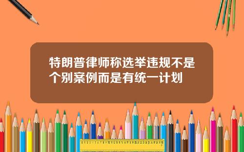 特朗普律师称选举违规不是个别案例而是有统一计划