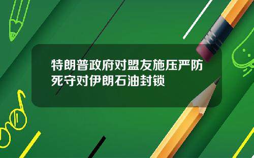 特朗普政府对盟友施压严防死守对伊朗石油封锁