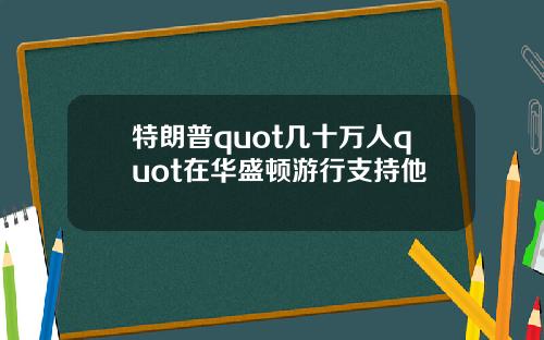 特朗普quot几十万人quot在华盛顿游行支持他