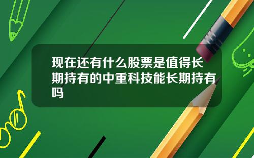 现在还有什么股票是值得长期持有的中重科技能长期持有吗