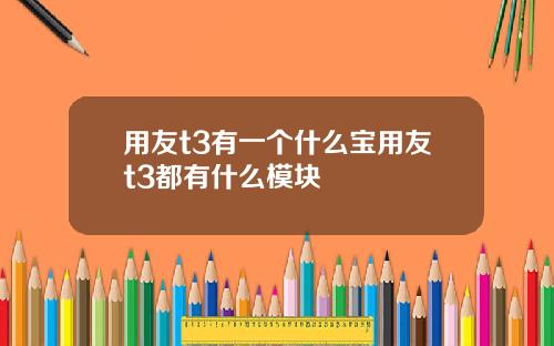用友t3有一个什么宝用友t3都有什么模块