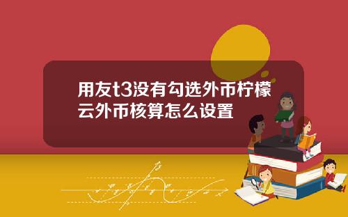 用友t3没有勾选外币柠檬云外币核算怎么设置