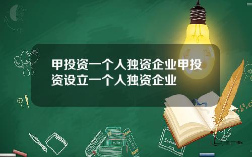 甲投资一个人独资企业甲投资设立一个人独资企业